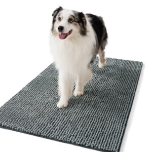 Dog Doormat For Muddy Paws